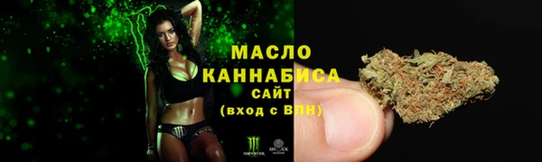 сатива Коряжма