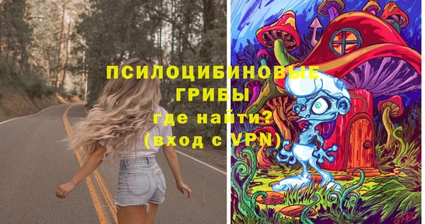 индика Белая Холуница