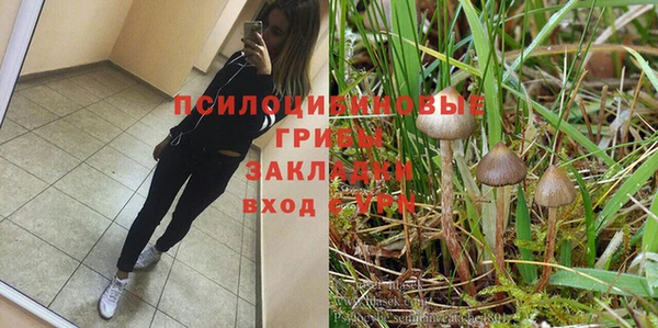 прущий лед Кинешма