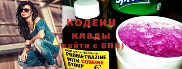 индика Белая Холуница