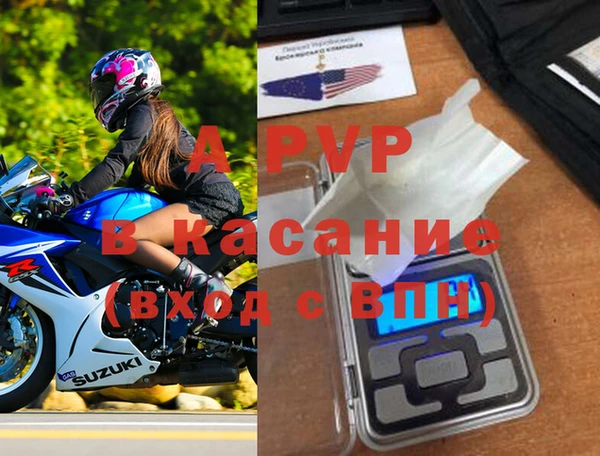 стаф Козловка