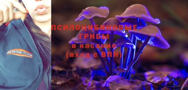 стаф Козловка