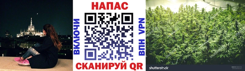 МАРИХУАНА индика  Коммунар 
